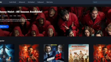 Photo of HDHub4U: Free Downloads Site to Watch Movies Online