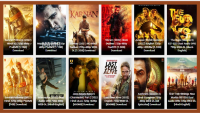 Photo of Prmovies: Bollywood, Hollywood, Punjabi, Telugu, and Tamil