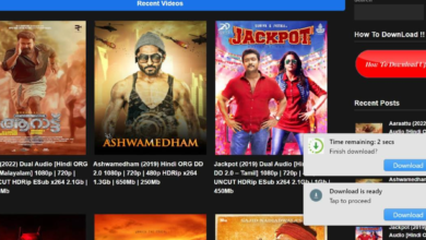 Photo of Filmyhunk.cc for Streaming or Downloading Movies Sites