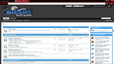 Photo of Who Was Shaanig? A Guide to the Popular Release Group